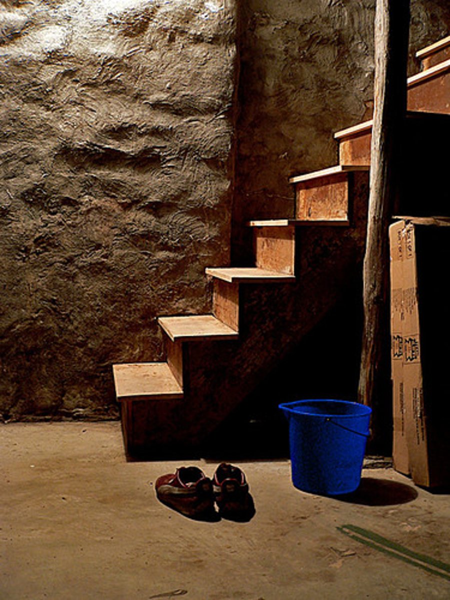 <p>cellar</p>
