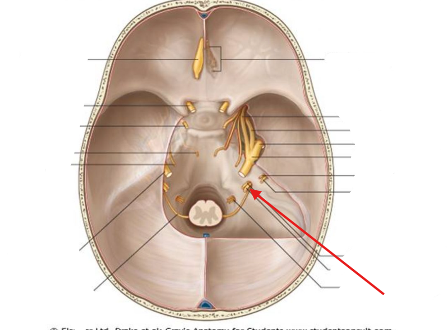 <p>What is this structure?</p>
