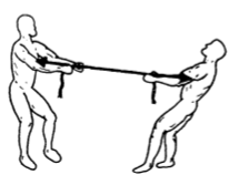 <p>based on this image, what type of force is being presented?</p>