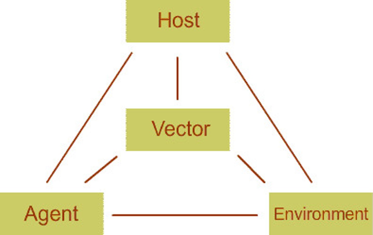 <p>- Host, agent, environment</p>