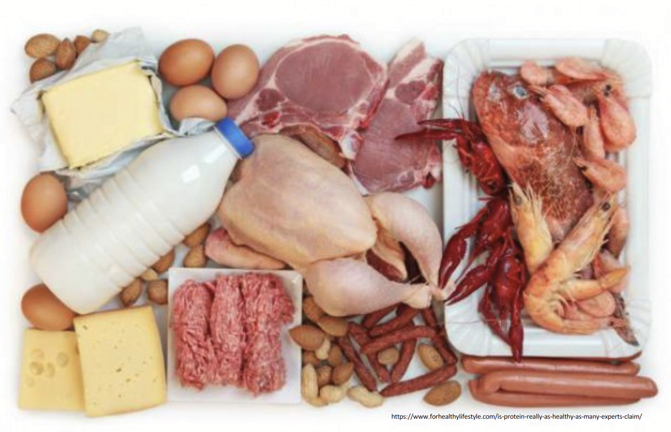 <p><strong><u>Reasons for domestication of animals</u></strong></p><p>Humans evolved to eat animal products → meat, fish, milk, eggs, honey.</p><p><strong>Palatability:</strong> humans prefer the taste and texture.</p><p><strong>Protein:</strong> amino acids closely match human requirements.</p><p><strong>Other micro-nutrients:</strong> vitamin B12, iron, etc. are most easily absorbed this way.</p><p>Contributes 16% of calories and 37% of protein to the world food supply!</p><p>Closely tied to economic status → “developed countries” have higher animal product consumption than “developing”.</p>