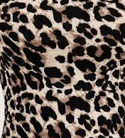 <p>leopard print</p>