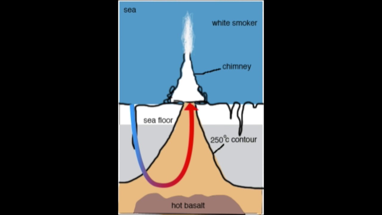 <p>cold water seeps into the crust and is geothermically heated (dissolves minerals from rocks, turning it black), the superheated water then escape the crust through a fissure above </p><p>these vents are hot, low in oxygen, and rich in metals and <strong>hydrogen sulfide </strong></p><p>the chemicals contained from these vents are the basis for chemosynthesis </p>