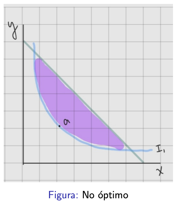 <p>Soluciones no factibles al problema del consumidor</p>