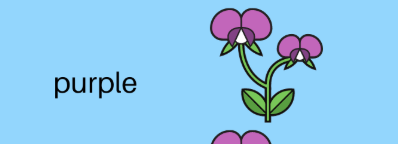 <p>the physical expression of a trait</p>