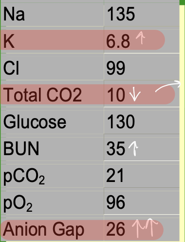 <ul><li><p>Decreased total CO2</p></li><li><p>Increased Anion Gap</p></li><li><p><strong>Ethylene glycol poisoning</strong></p></li></ul><p></p>
