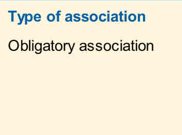 <p>Association with VSD</p>