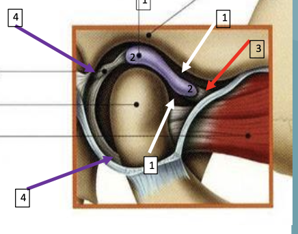 <p>what does each line correspond to</p>