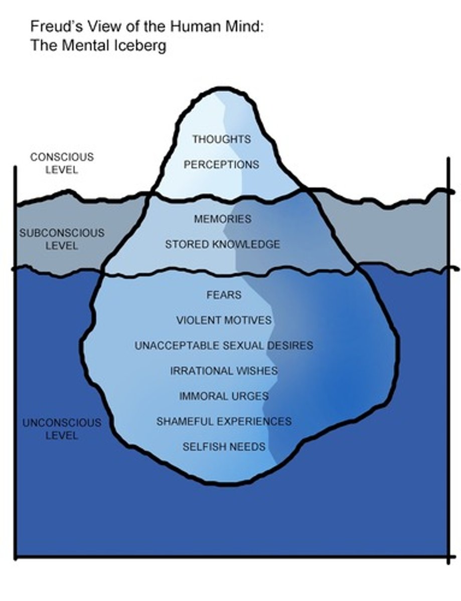 <p>Ego (conscious), Superego (preconscious), Id (unconscious)</p>