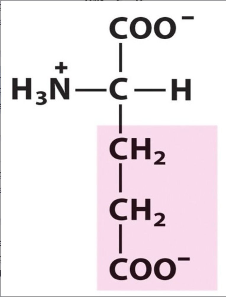 <p><span>Glu / E. pKa 4,3. Functional group -COOH. IP: 3,22. Polar, acidic.</span></p>