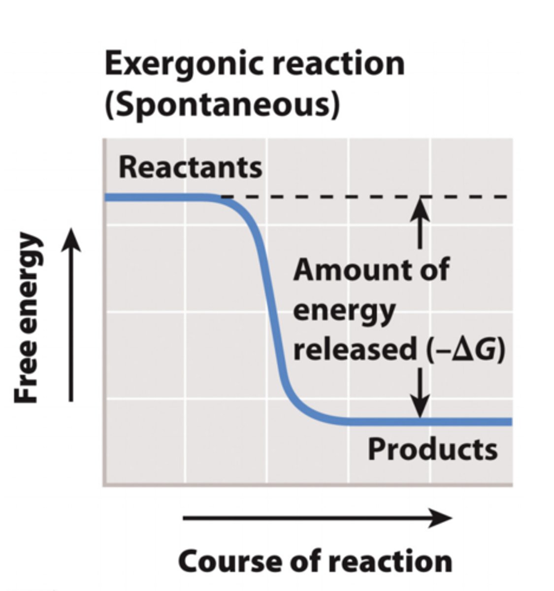 <p>1. Reactions with a negative ΔG release energy and are exergonic. <br>2. These reactions occur spontaneously. <br>3. Spontaneous does NOT mean that a reaction will occur quickly- it means it will occur without a net input of energy.</p>