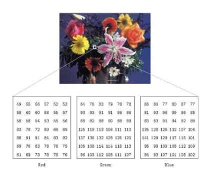 <ul><li><p>Such images is a stack of multiple matrices; representing the multiple channel values for each pixel</p></li><li><p>Ex. RGB color is described by the amount of red, green and blue in it</p></li></ul><p>*3 ranges, 3 values for every pixel, intensities for each color</p>