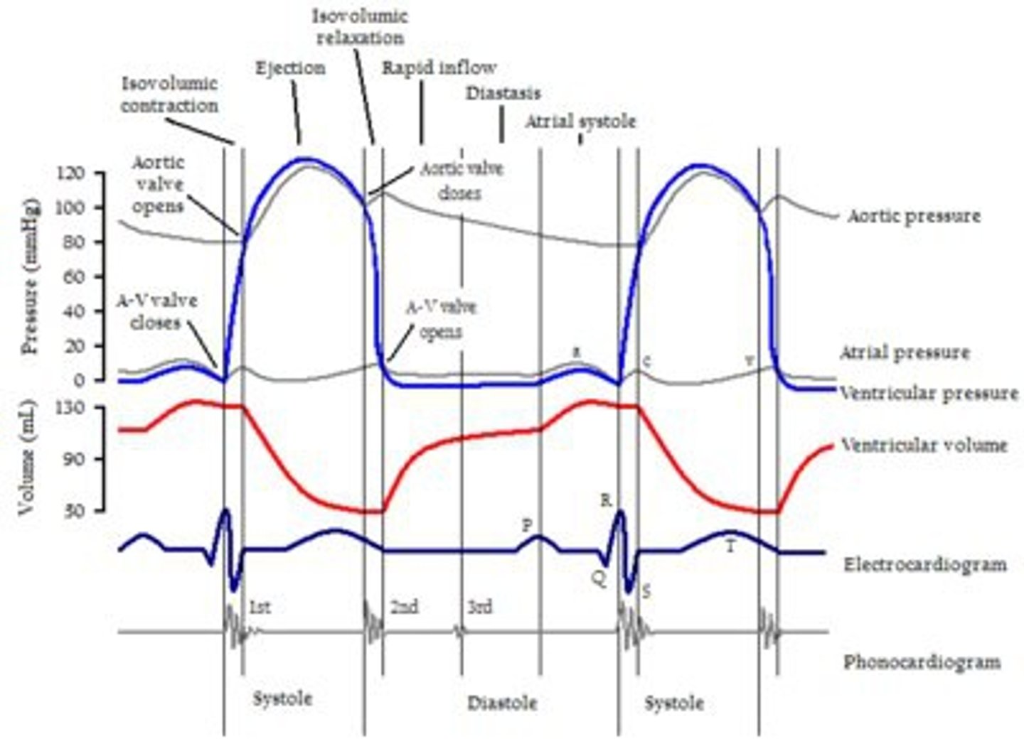 <p>(falling blue line)</p>