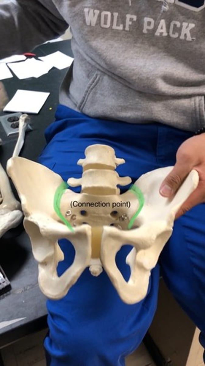 <p>where the sacrum and illium come together; would only test together with sacrum</p>
