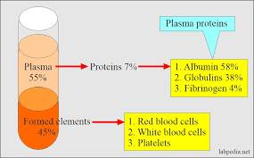 <ol><li><p>Albumins (54-60%)</p></li><li><p>Globulins (35-38%)</p></li><li><p>Fibrinogen (4-7%)</p></li></ol>