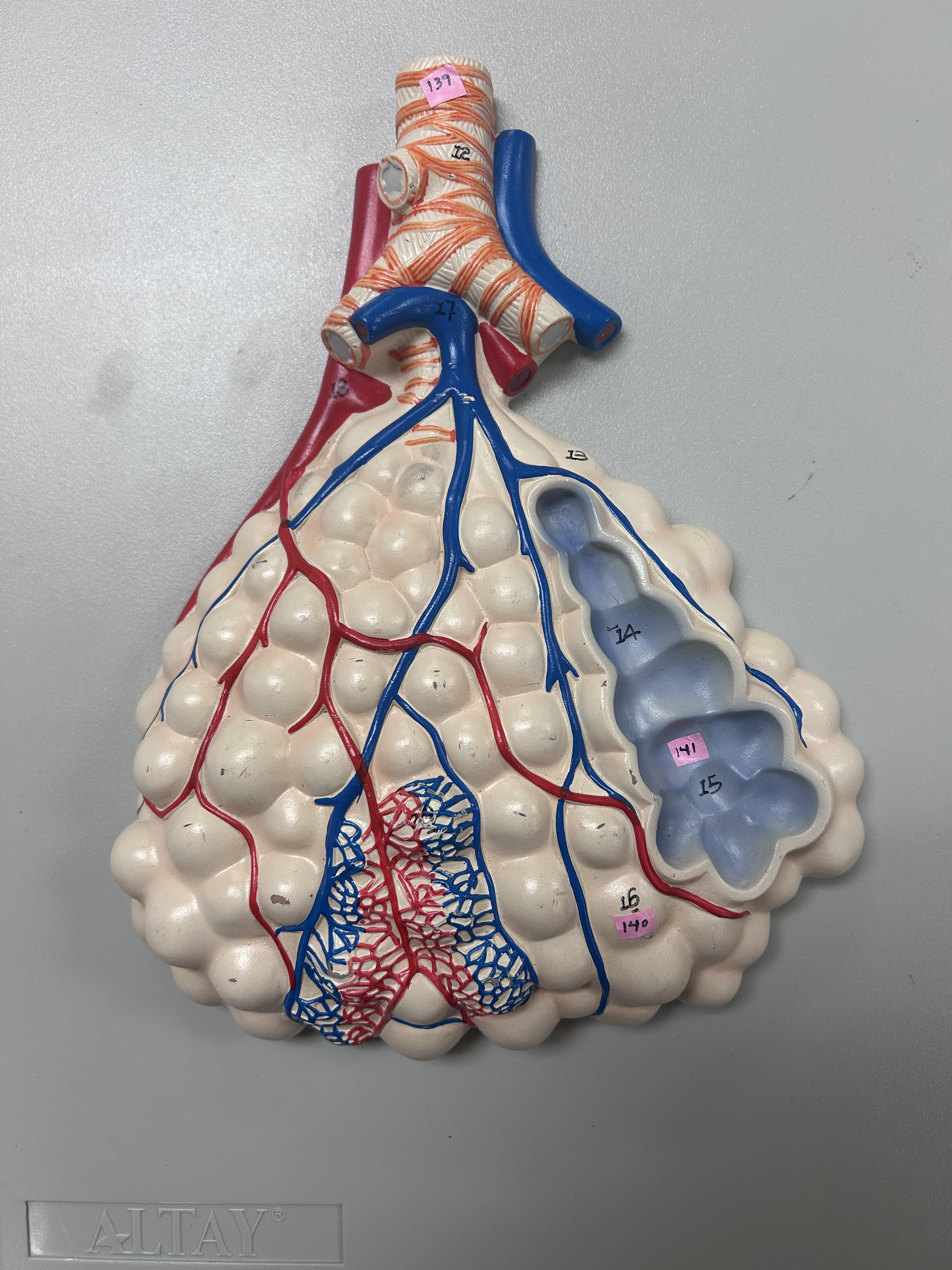 <p>Label 141</p>