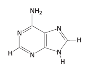 <p>Exam 2A-29</p><p>Which nitrogenous base is shown below?</p><p>(</p><p>a. uracil</p><p>b. adenine</p><p>c. guanine</p><p>d. thymidine</p><p>e. cytosine</p>