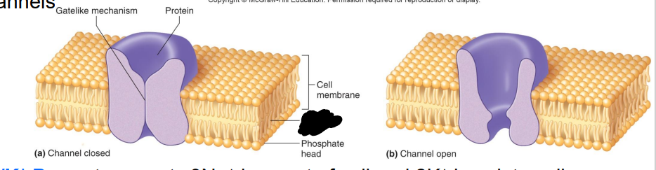 <p>Label the diagram</p>