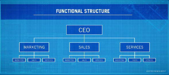 <p>Functional Internal Organization</p>