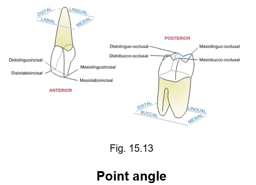 <ul><li><p>is another way to determine the specific area of the crown</p></li><li><p>the junction of three surfaces of the crown, the point angle takes its name from those three surfaces</p></li></ul><p></p>