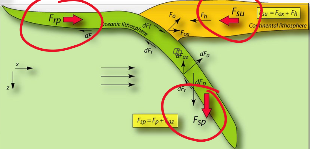 <p>F<sub>rp</sub> = ridge push </p><p>F<sub>su</sub> = force of suction from trench retreat</p><p>F<sub>sp </sub>= slab pull force </p>