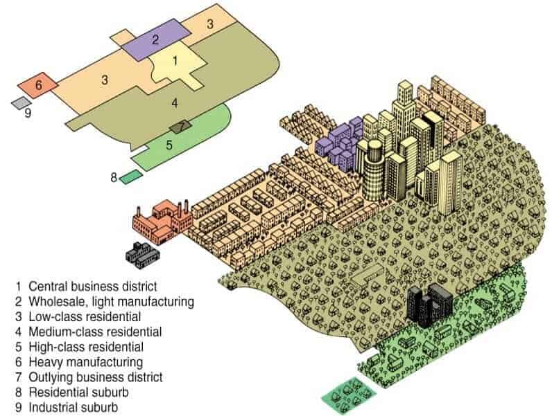 <p>A city structure model where development is centered around multiple nodes, not just a single downtown. Example - Los Angeles has several business districts, such as Downtown LA, Hollywood, and Century City.</p>