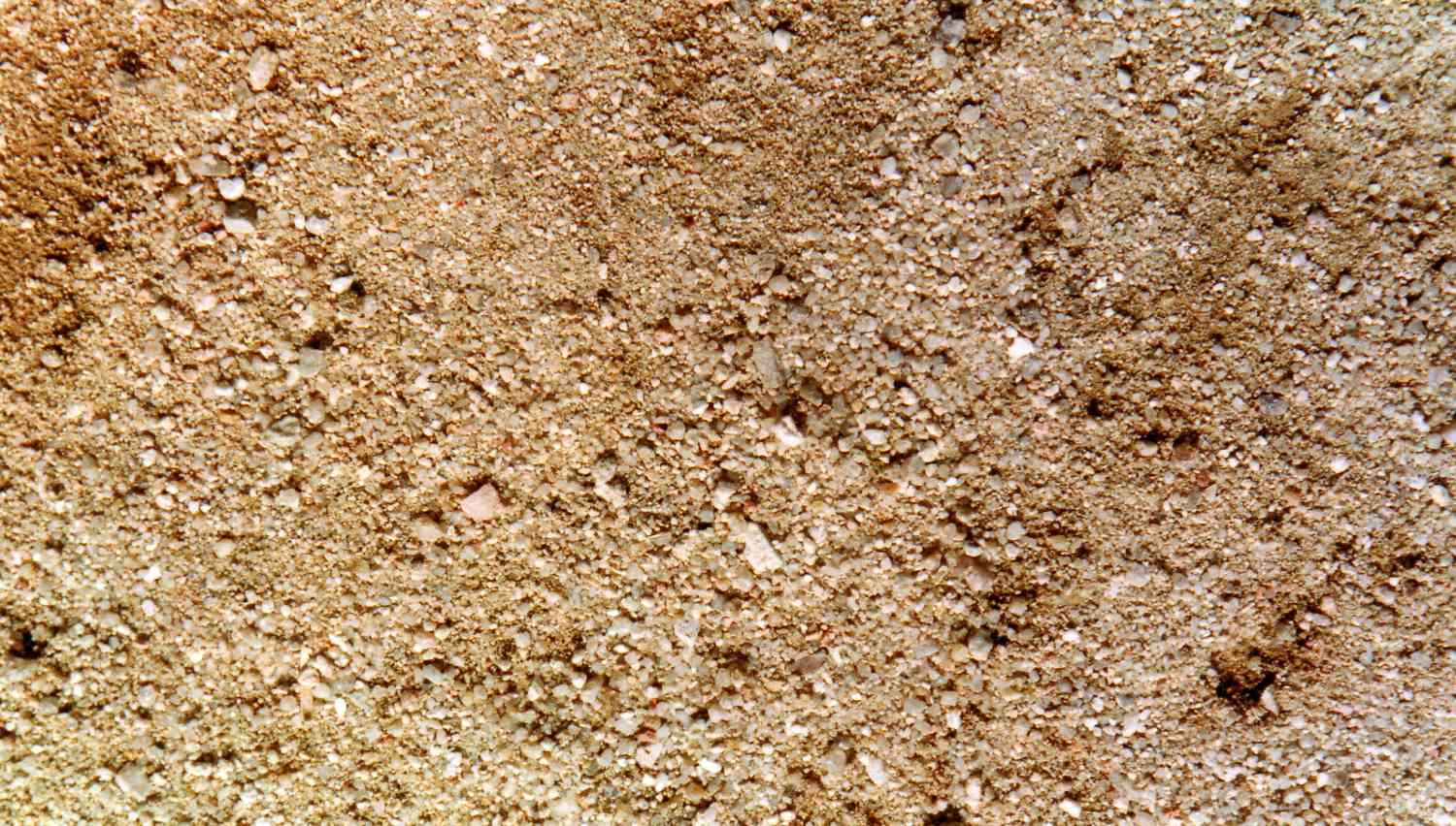 <p>sediment</p>