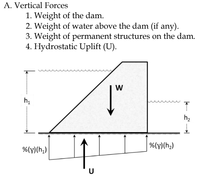 <p>Vertical Forces</p>