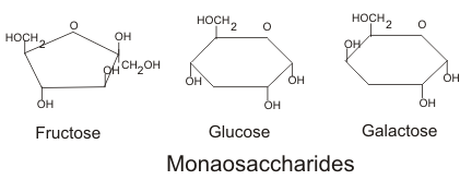 <p>A simple sugar that is the basic subunit of a carbohydrate</p>