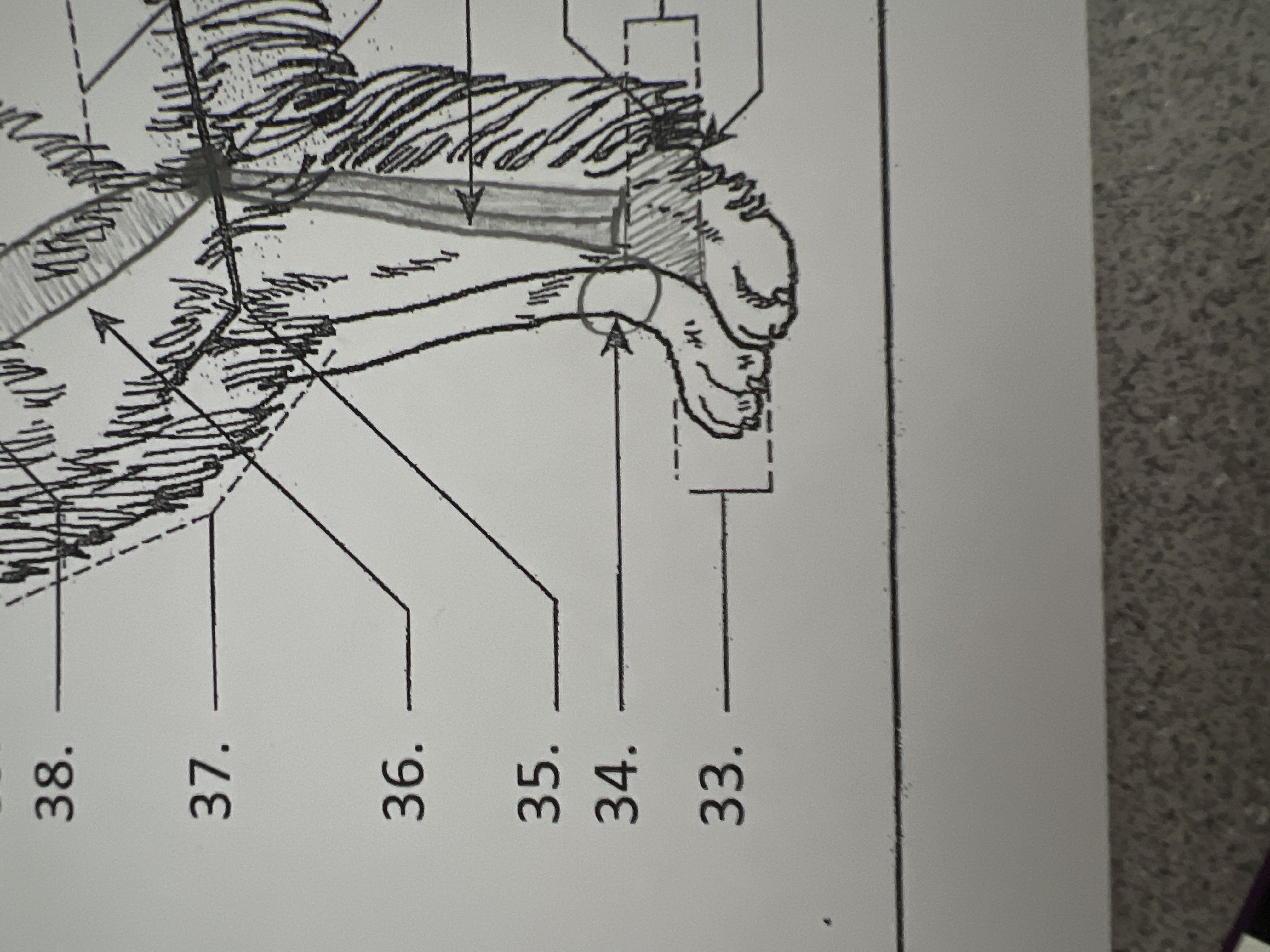 
33. \
