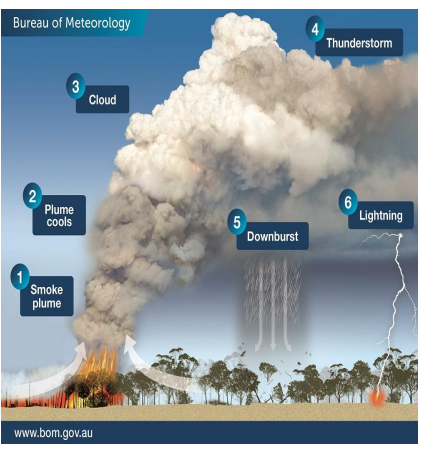 <p>1. A plume of hot, turbulent air and smoke rises. </p><p>2. Turbulence mixes cooler air into the plume, causing it to broaden and cool as it rises. </p><p>3.. When the plume rises high enough, low atmospheric pressure causes its air to cool and cloud to form. </p><p>4. In an unstable atmosphere a thunderstorm can develop: pyrocumulonimbus cloud </p><p>5. Rain in the cloud evaporates and cools when it comes in to contact with dry air, producing a downburst. </p><p>6. Lightning may be produced and can ignite new fires</p>