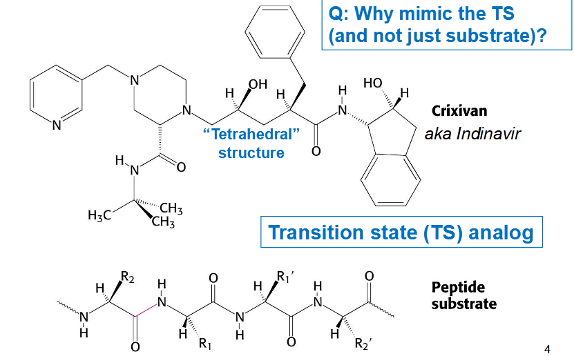 <p>Indinavir that mimics transition state: prefers transition state (maximum binding interaction</p>