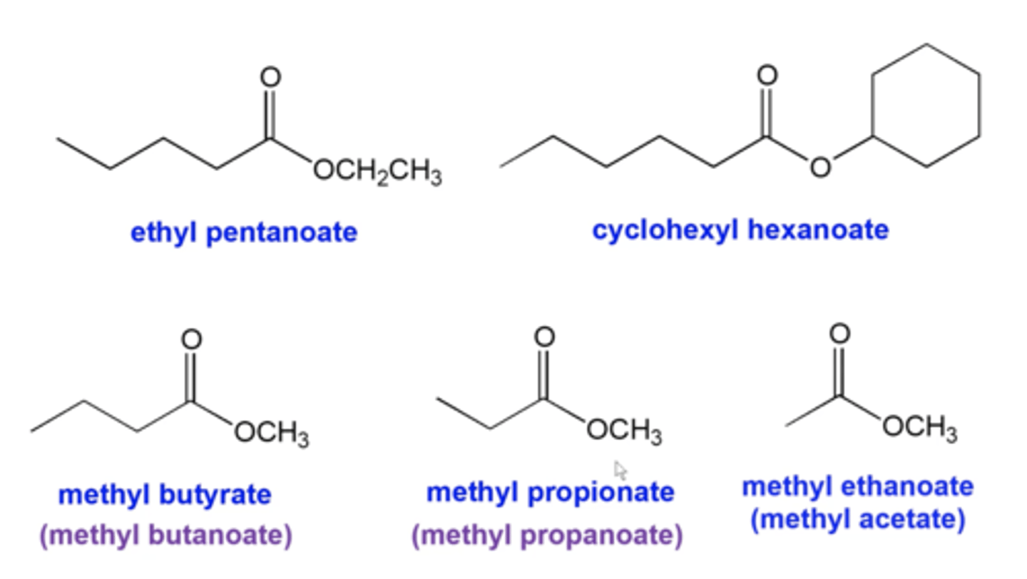 <p>same as alkanes except:</p><p>-in the name, the alkyl group attached to the ester oxygen gets listed first, as a substituent, with the suffix "yl". The parent chain name then follows</p><p>-the parent chain starts at the C=O carbon and is counted moving away from the ester oxygen</p><p>-replace "e" in the alkane name with "oate"</p>