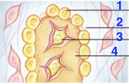 <p>1?</p>