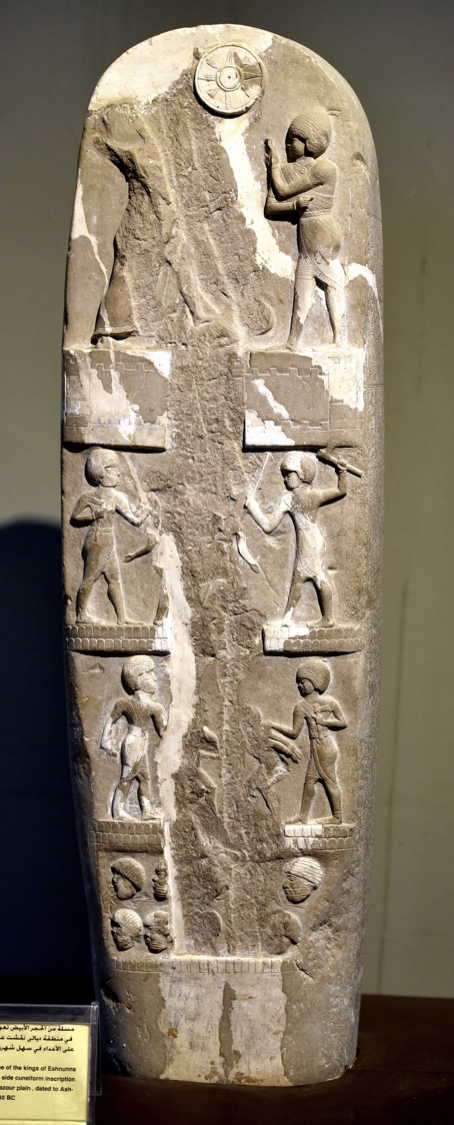 term image