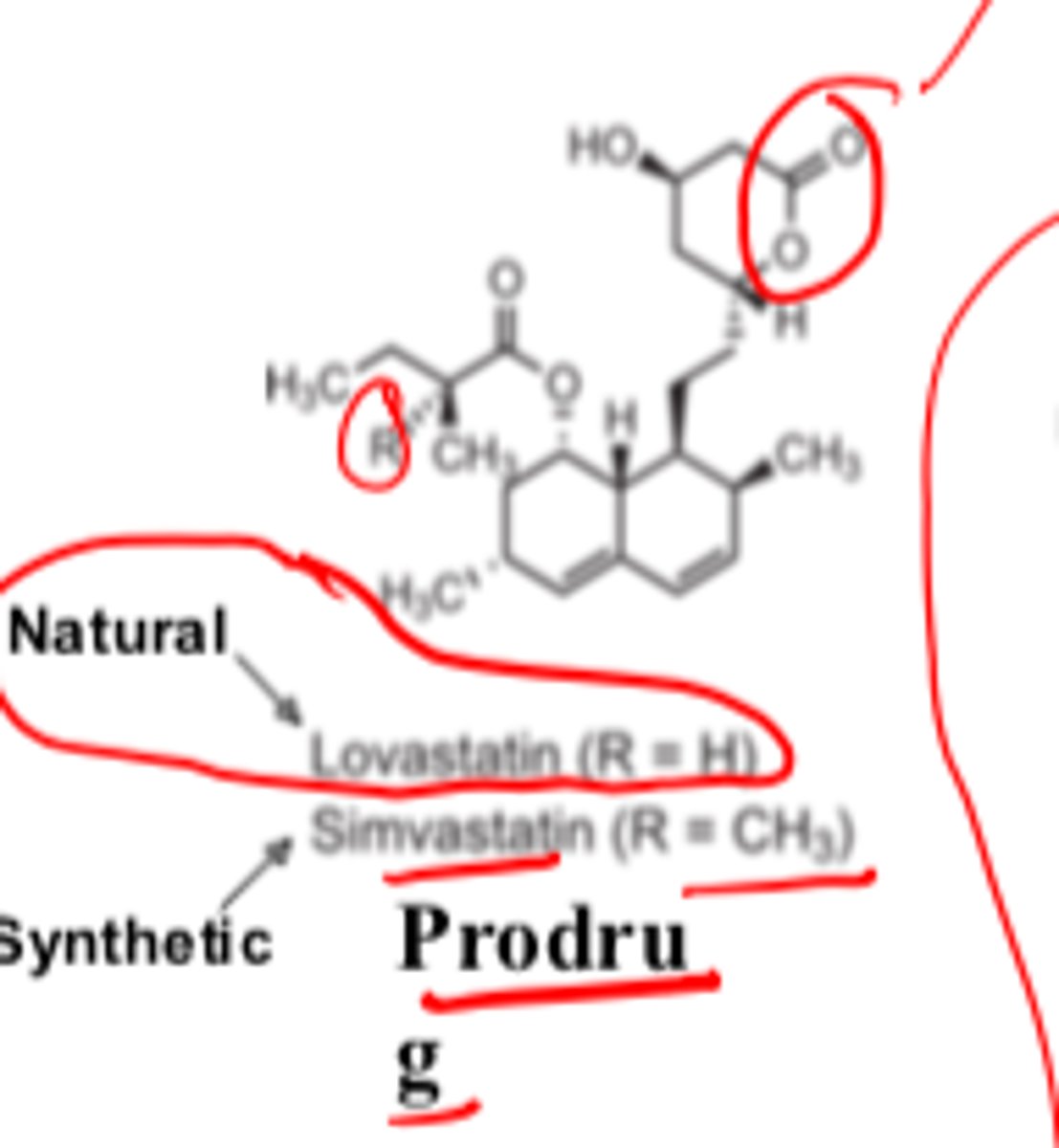 <p>- natural (R = H)</p><p>- synthetic (R = CH3)</p>