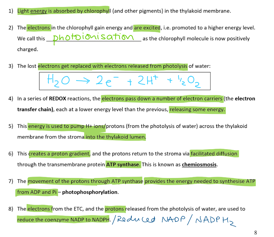 <p>Summary: The LDR provides a source of reducing power (NADPH) and energy (ATP) for the LIR</p><p>O2 from photolysis is used in respiration or lost via the stomata</p>