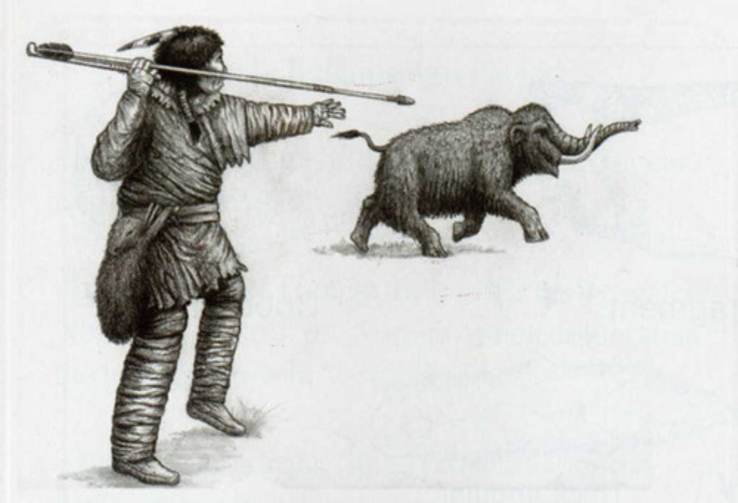 <p>Early people who hunted animals, gathered fruit, nuts, grains,</p>