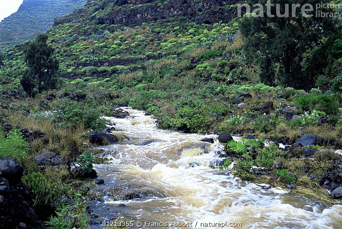 <p>The water is following down</p>