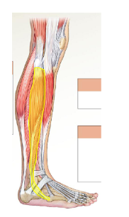 <p>What is this?</p>