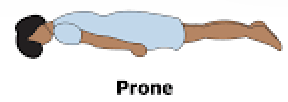 <p>Laying on your stomach, back up</p>