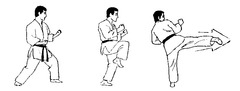 <p>Side thrust kick (180°)</p>