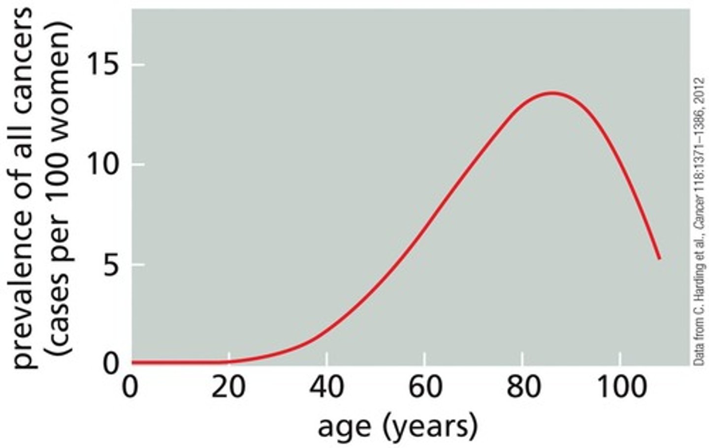 <p>Rates of cancer increase with age due to the accumulation of mutations over time.</p>