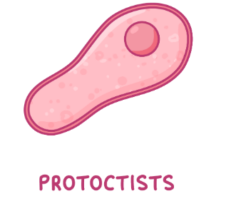 <p>take over cells and break them open</p>