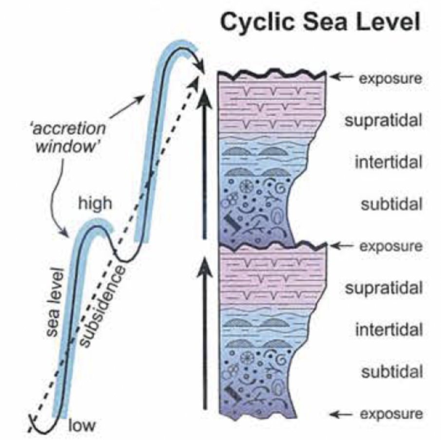<p>Shallowing upward cycles with stacked subtidal, intertidal, and supratidal deposits</p>