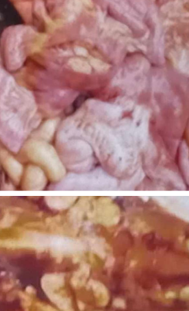 term image