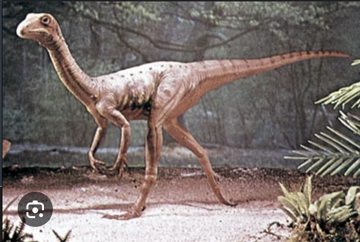 <p>Ornithomimids</p>