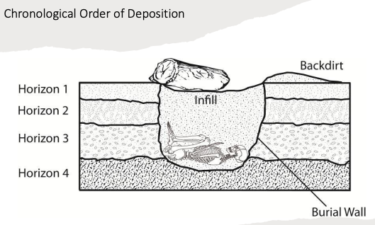 <p>Horizon 1, Horizon 2, Horizon 3, Horizon 4, Burial Wall surrounding the infill that has the skeleton and then backdirt</p>