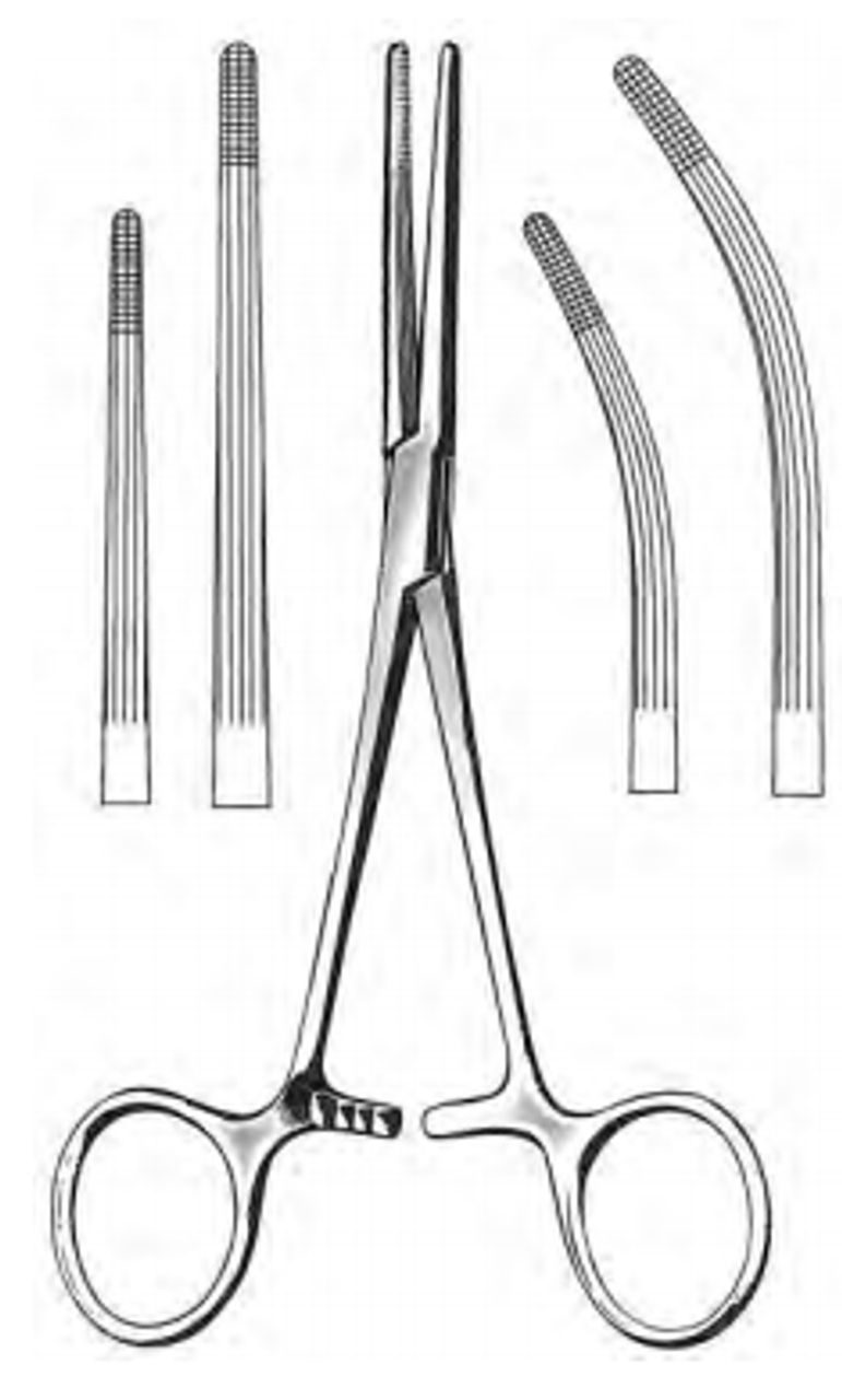 <p>ID (can come straight or curved)</p>