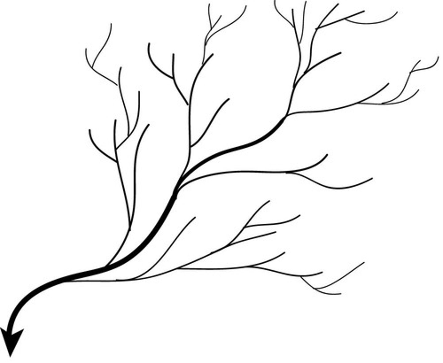 <p>Dendritic</p>